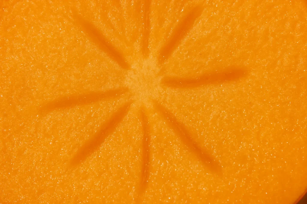 Close-up of unripe Hachiya persimmon flesh, showing the texture high in tannins that causes astringency.